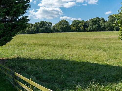 Trees Modern  - Filming Locations Locations Direct -53