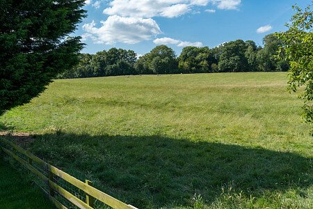 Trees Modern  - Filming Locations Locations Direct -53