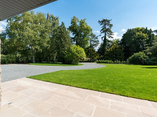 Trees Modern  - Filming Locations Locations Direct -56