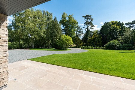 Trees Modern  - Filming Locations Locations Direct -56