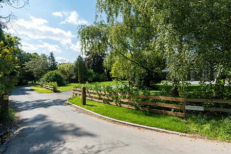 Trees Modern  - Filming Locations Locations Direct -61