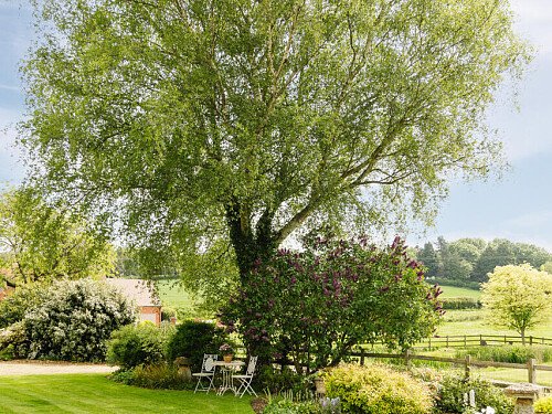 Lower House   - Filming Locations Locations Direct -100