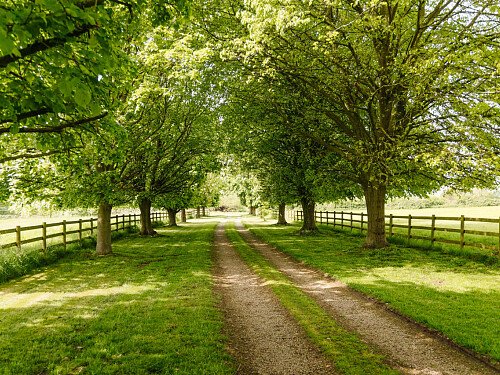 Image for Location 2068