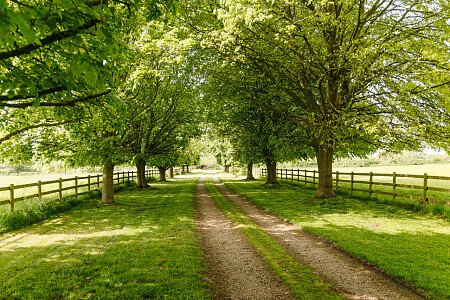 Lower House   - Filming Locations Locations Direct -099