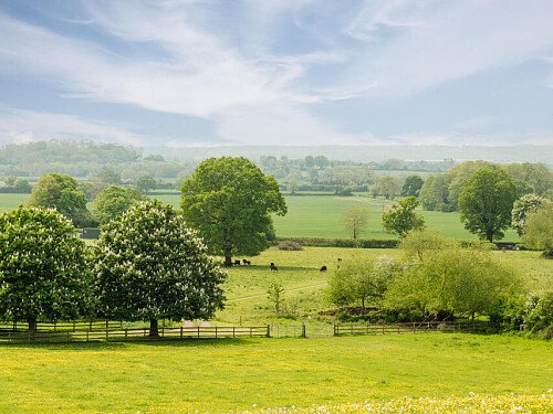 Lower House   - Filming Locations Locations Direct -101