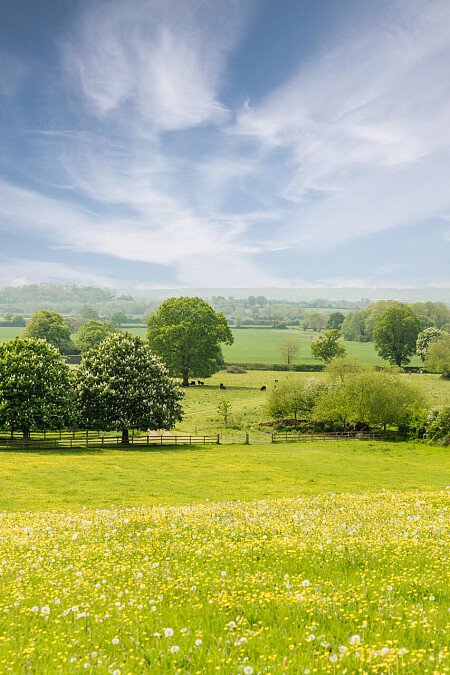 Lower House   - Filming Locations Locations Direct -101