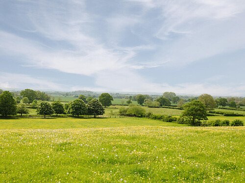 Lower House   - Filming Locations Locations Direct -104