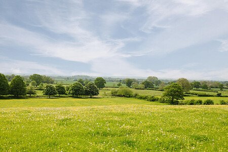 Lower House   - Filming Locations Locations Direct -104