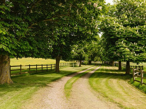 Lower House   - Filming Locations Locations Direct -107