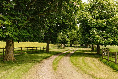 Lower House   - Filming Locations Locations Direct -107