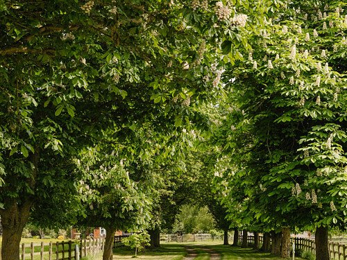 Lower House   - Filming Locations Locations Direct -109