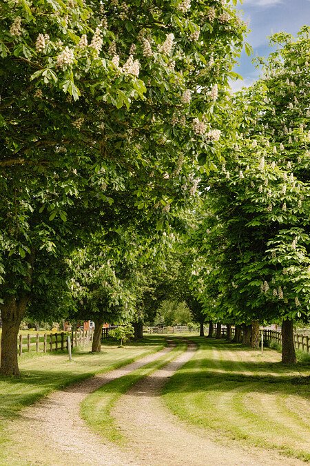 Lower House   - Filming Locations Locations Direct -109