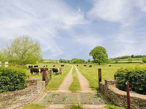 Lower House   - Filming Locations Locations Direct -111