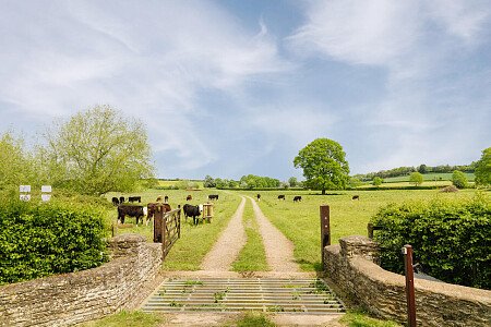 Lower House   - Filming Locations Locations Direct -111