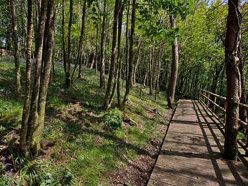 Pinewood Mansion - Filming Locations Locations Direct -50