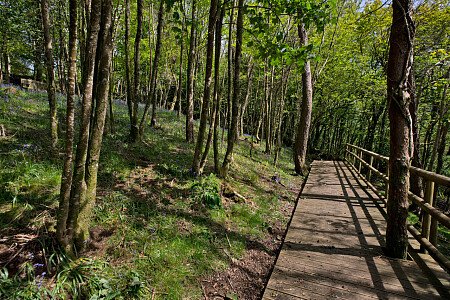 Pinewood Mansion - Filming Locations Locations Direct -50