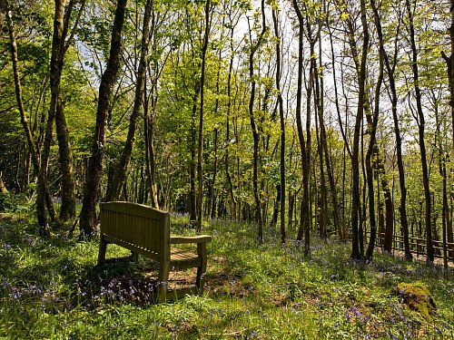 Pinewood Mansion - Filming Locations Locations Direct -49