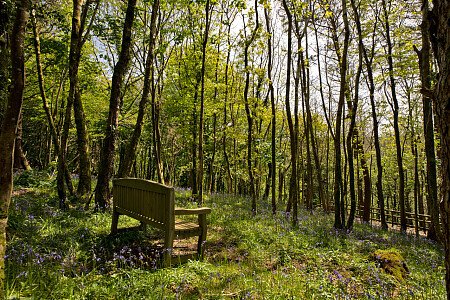 Pinewood Mansion - Filming Locations Locations Direct -49