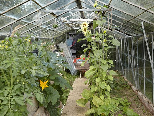 Image for Location 2073