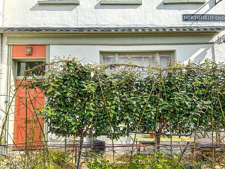 Painted wooden panelling - Filming Locations Locations Direct -93