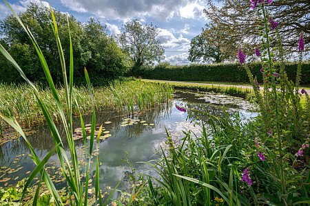 Fresh Water  - Filming Locations Locations Direct -91