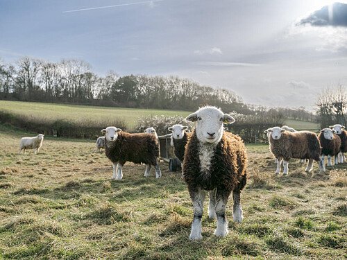 Image for Location 2095