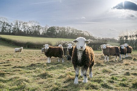 BM House - Filming Locations Locations Direct -55