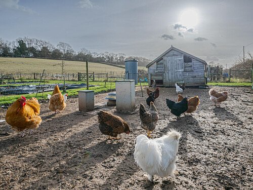 Image for Location 2095