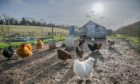 BM House - Filming Locations Locations Direct -58