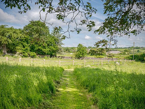 Image for Location 2099