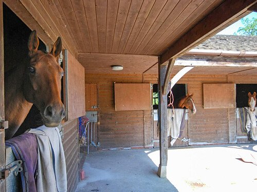 Challens - Locations direct filming photoshoot locations-45