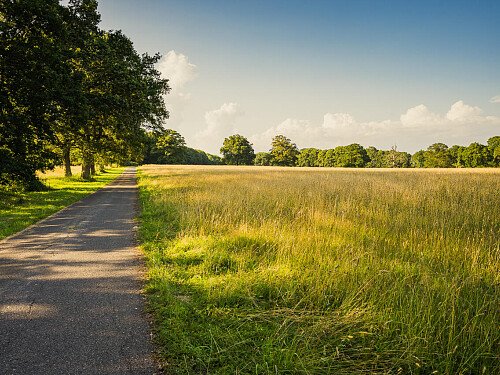 Image for Location 2116