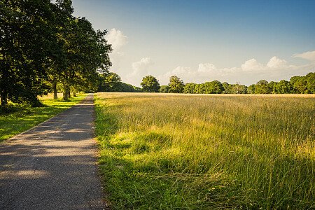 Loxton Park CMS - Locations direct filming photoshoot locations-17