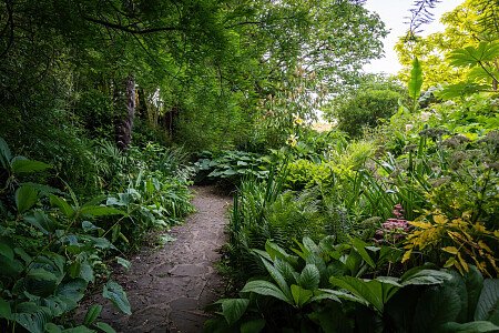 Borde -  filming photoshoot location-20