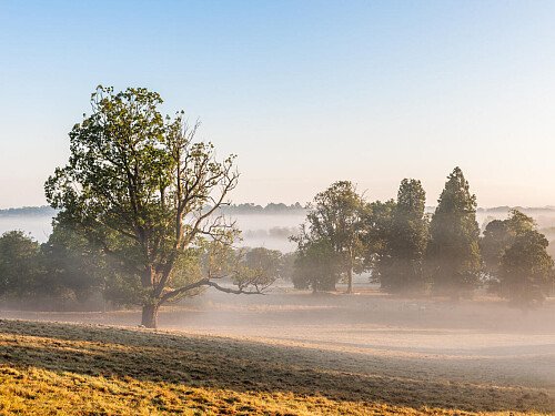 Image for Location 2121