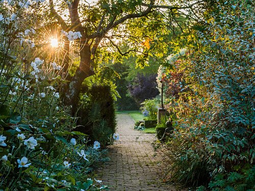 Borde -  filming photoshoot location-21