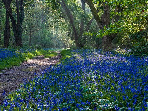 Image for Location 2121