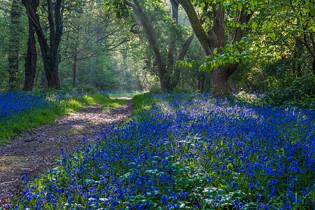 Borde -  filming photoshoot location-23
