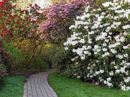 Borde -  filming photoshoot location-37