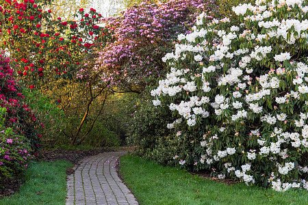 Borde -  filming photoshoot location-37