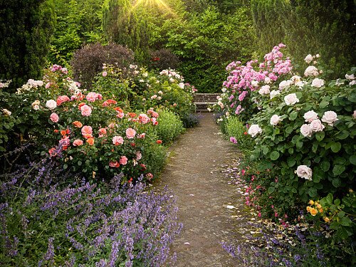 Borde -  filming photoshoot location-41