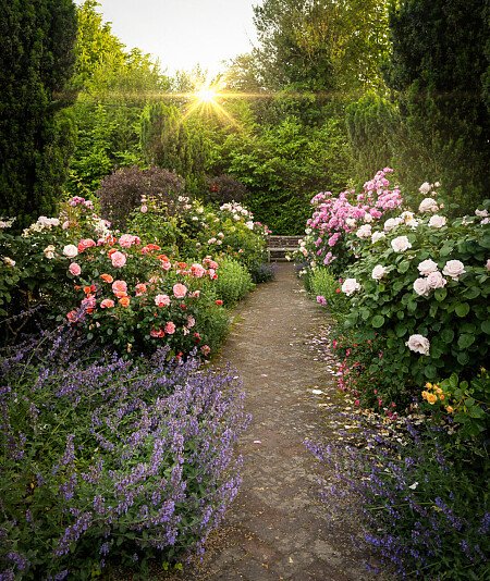 Borde -  filming photoshoot location-41