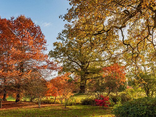 Borde -  filming photoshoot location-44