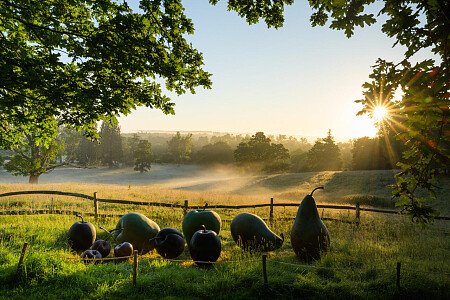 Borde -  filming photoshoot location-46