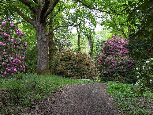 Borde -  filming photoshoot location-49