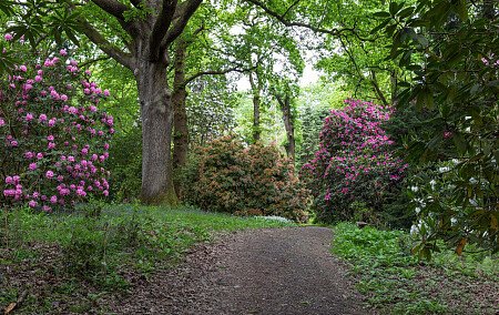 Borde -  filming photoshoot location-49