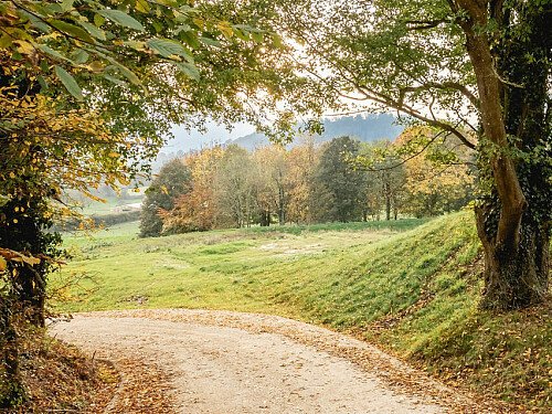 Viola -  filming photoshoot location-94