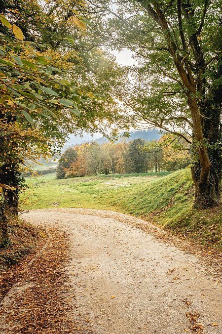 Viola -  filming photoshoot location-94