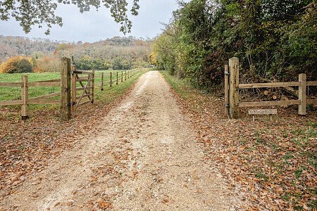 Viola -  filming photoshoot location-97