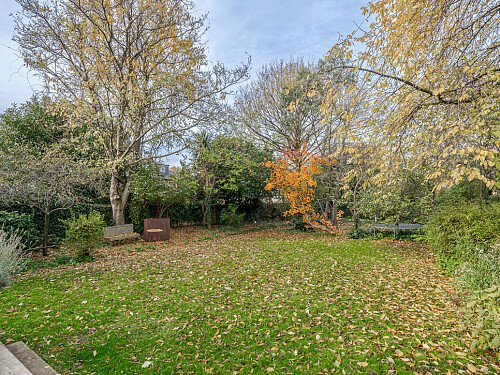 Shrubbery -  filming photoshoot location-17